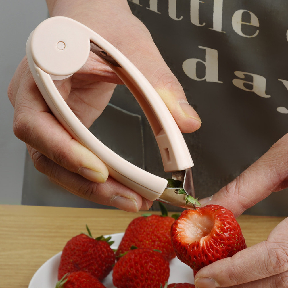 Sturdy Pineapple Core Remover  - Kitchen Gadgets Tools 评论和价格