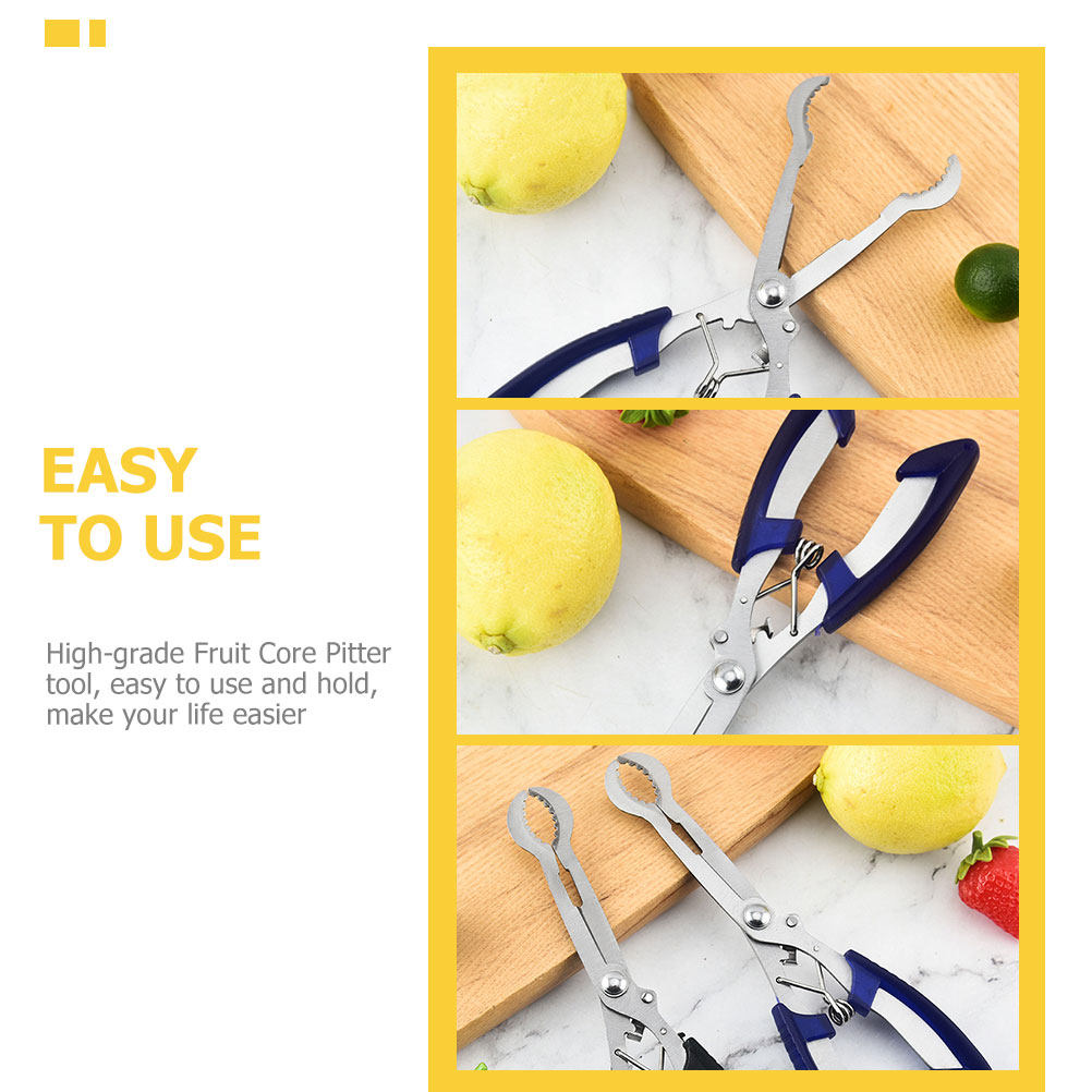 Stainless Steel Hawthorn Core  - Kitchen Gadgets Tools 评论和价格
